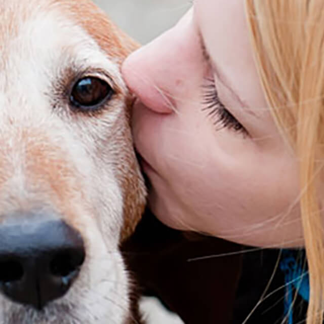 Reading your dog’s body language