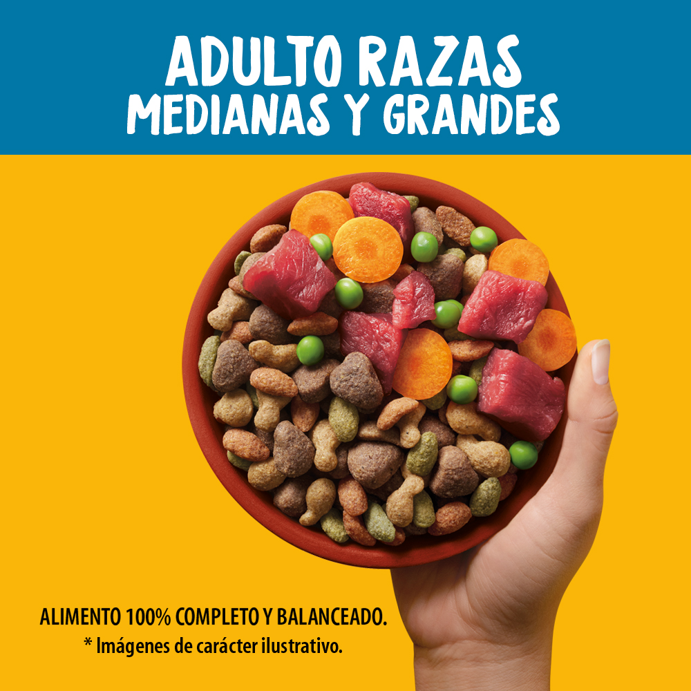 PEDIGREE Croquetas Adulto Con Res Y Vegetales PEDIGREE Mexico