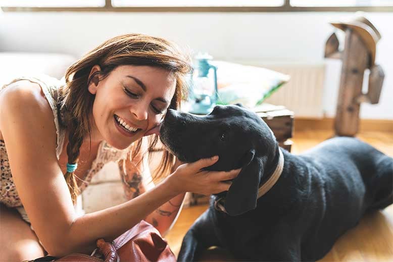 Guía Pedigree de adopción de perros: consejos para elegir el compañero ideal para ti.