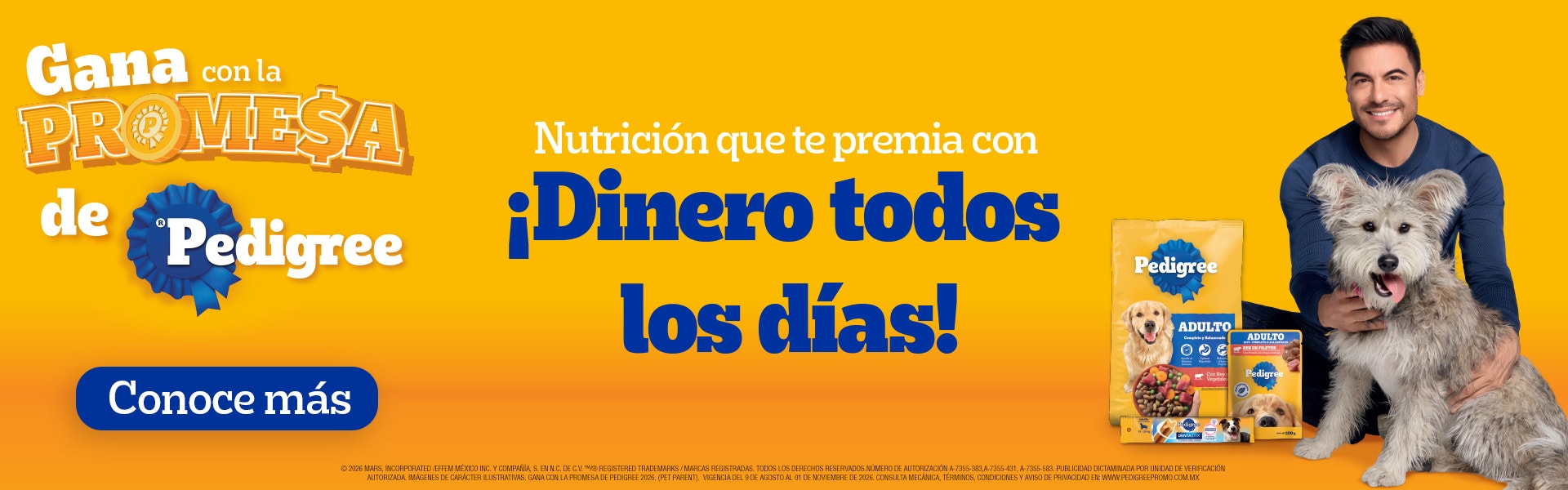 Dinero todos los dias