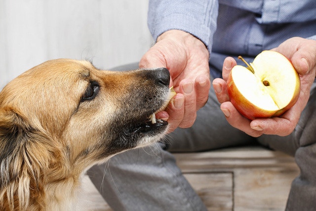 PED_15_QUEFRUTASPUEDECOMER