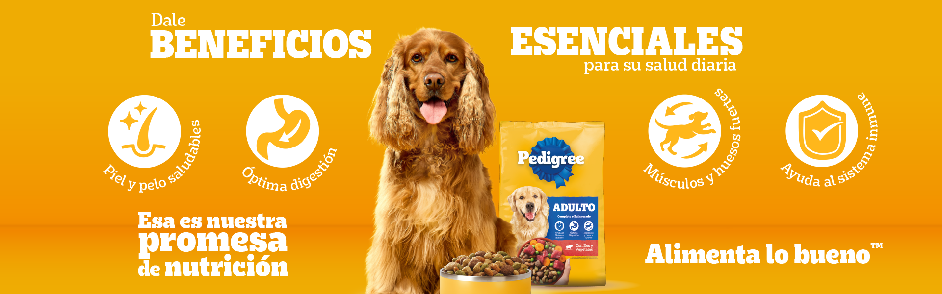 homepage banner